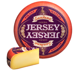 Landana Jersey Gouda BELEGEN  