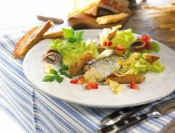 Dutch sardine salad with croutons
