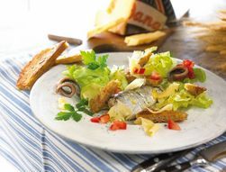 Holländischer Sardinensalat mit Croûtons
